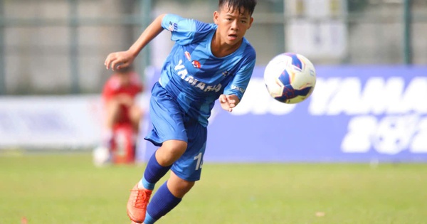 Cá cược bóng đá online