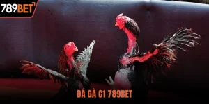 Đá Gà C1 Kịch Tính – Chiến Thắng Hấp Dẫn Chỉ Có Tại 789BET